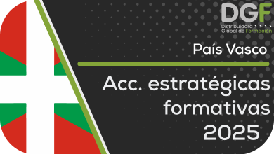acciones estrategicas formativas vasco pais