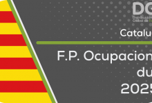 formacion profesional ocupacional catalunya cataluna cataluna