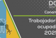 trabajadores ocupados canarias