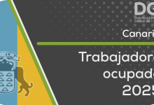 trabajadores ocupados canarias 25