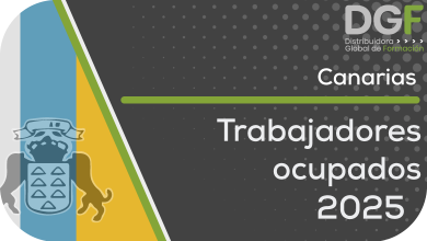 trabajadores ocupados canarias 25
