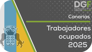 trabajadores ocupados canarias